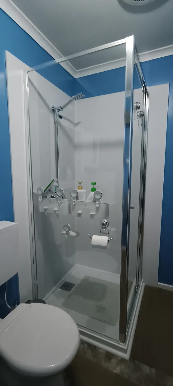 shower replacement: seamless wall panels in place of old tile